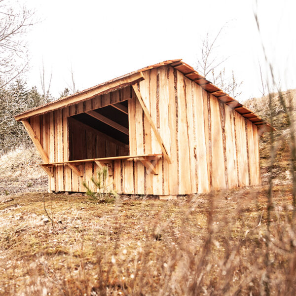 Shelter